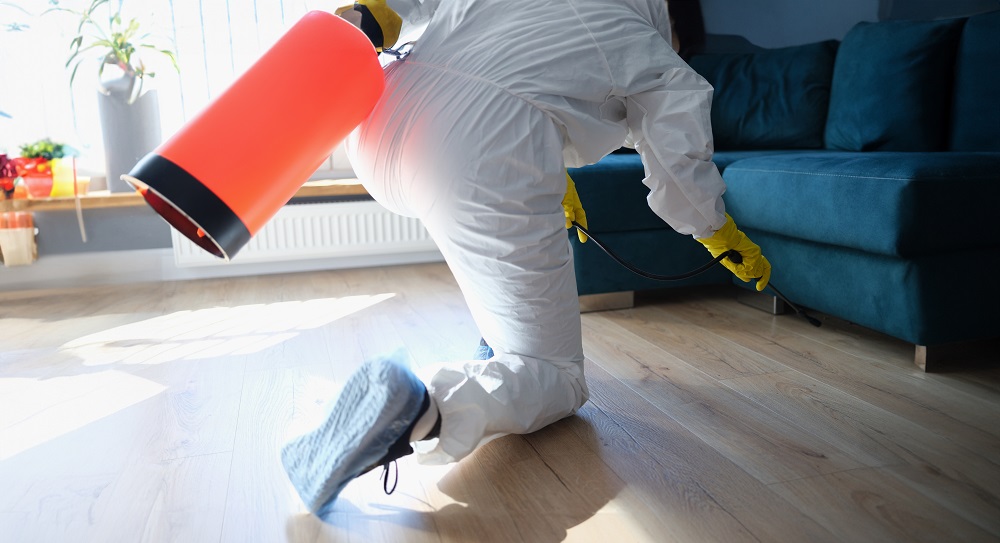 Comprehensive Hawx Pest Control Reviews for Homeowners